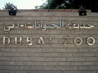 dubai zoo