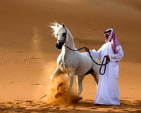 объединенные арабские эмираты (2006 г.) » туризм как активно развивающийся сектор экономики оаэ